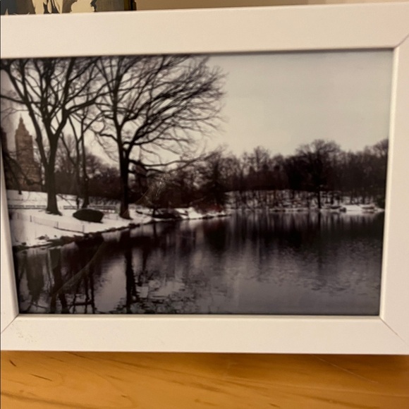 Low Start B&W photo by Me at Central Park in IKEA wood Frame - Picture 6 of 7